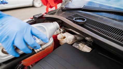 brake fluid flush near me prices cost